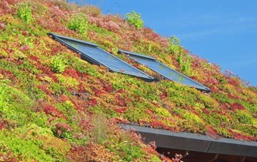 Balcombe living roof systems