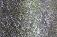 Balcombe fibreglass roof work