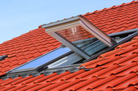 Balcombe roof window